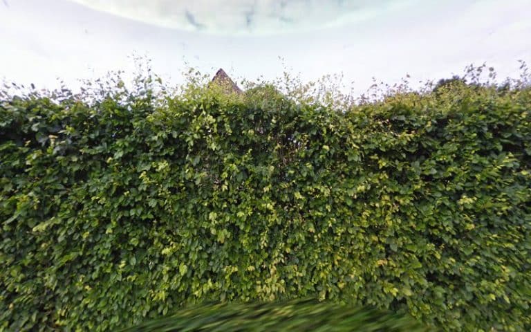 8709 2e3942b45eee 768x480